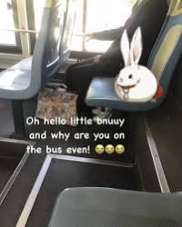 ˚༘♡ ·˚🧸 halo ₊˚ˑ🪀 tweet media