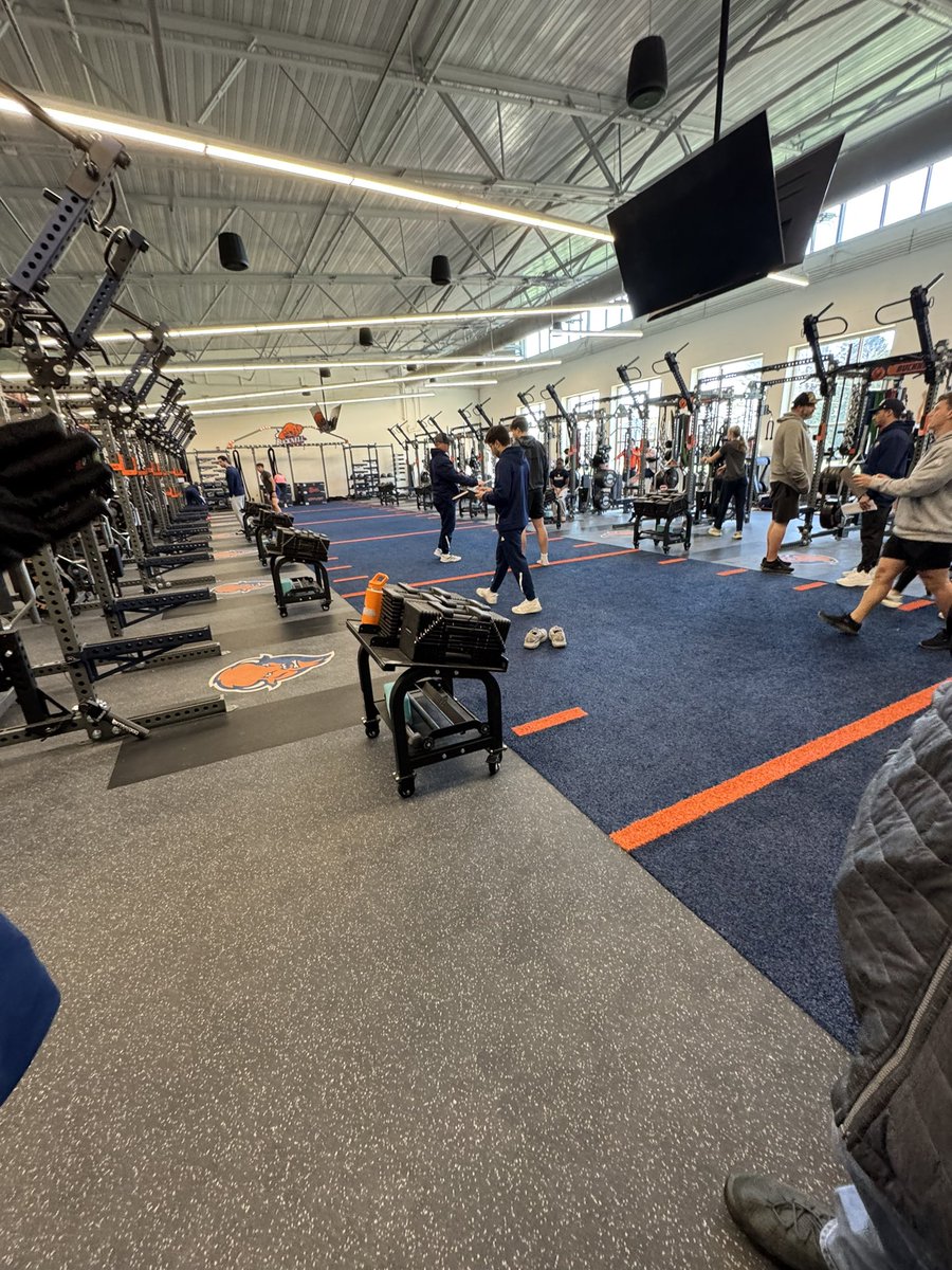 Louie Cipollo tweet media