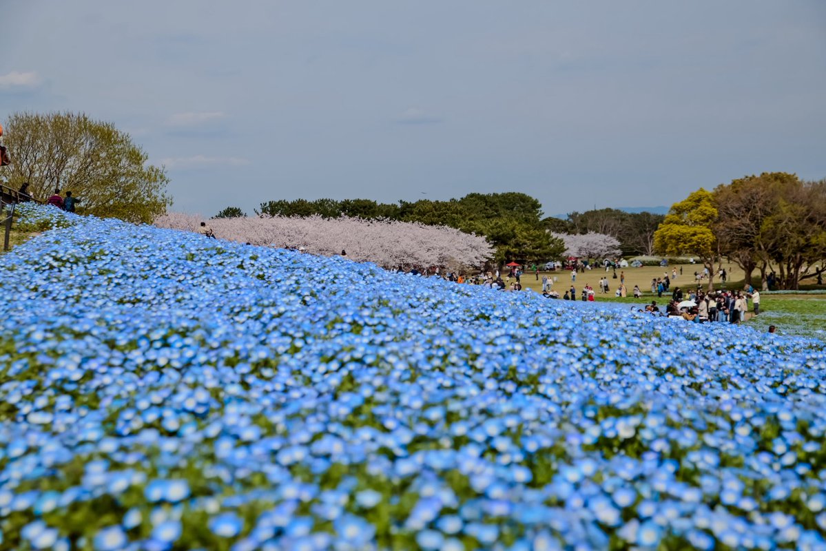 しゅな tweet media