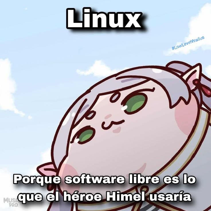 Waifus Informáticas tweet media