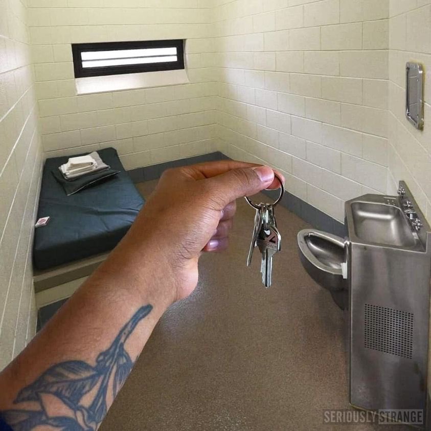 Political POW tweet media