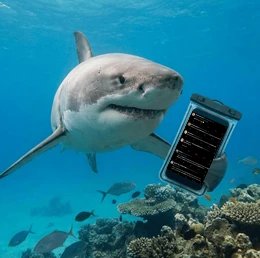 FringTheShark tweet media