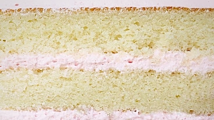 penelope tweet media