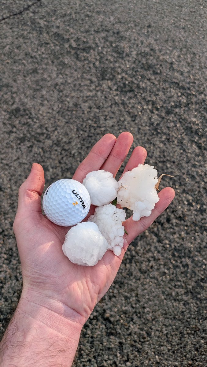 Bryce Kintigh tweet media