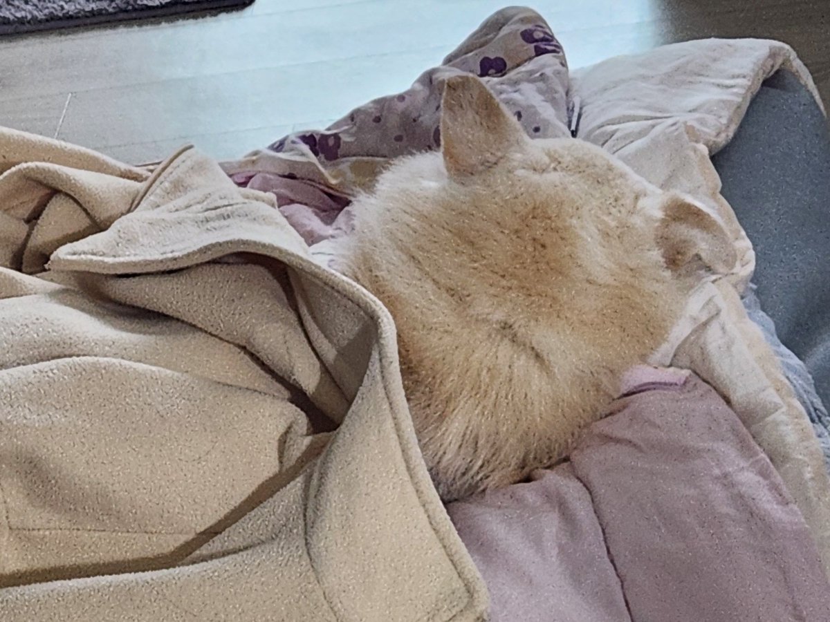 당근🌈🌹☂️ tweet media