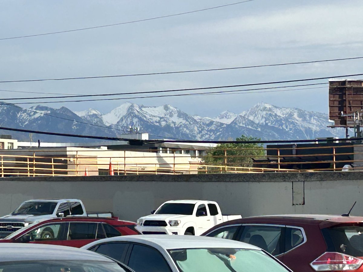 Max Heady tweet media