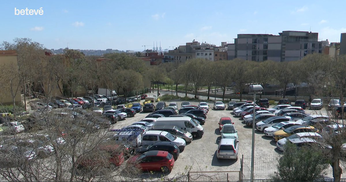 Nicia 🌍🚲🚋🚍🚇🌳 tweet media