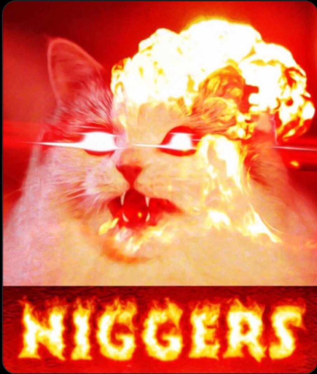 J. Peiper ⚔️🛡️✝️🛡️⚔️ tweet media