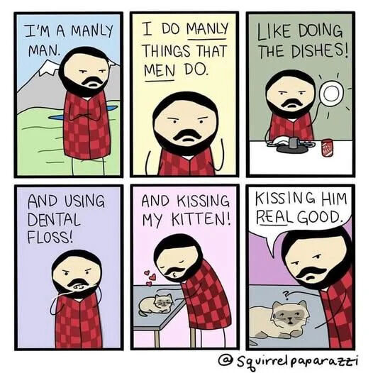 WholesomeMemes tweet media