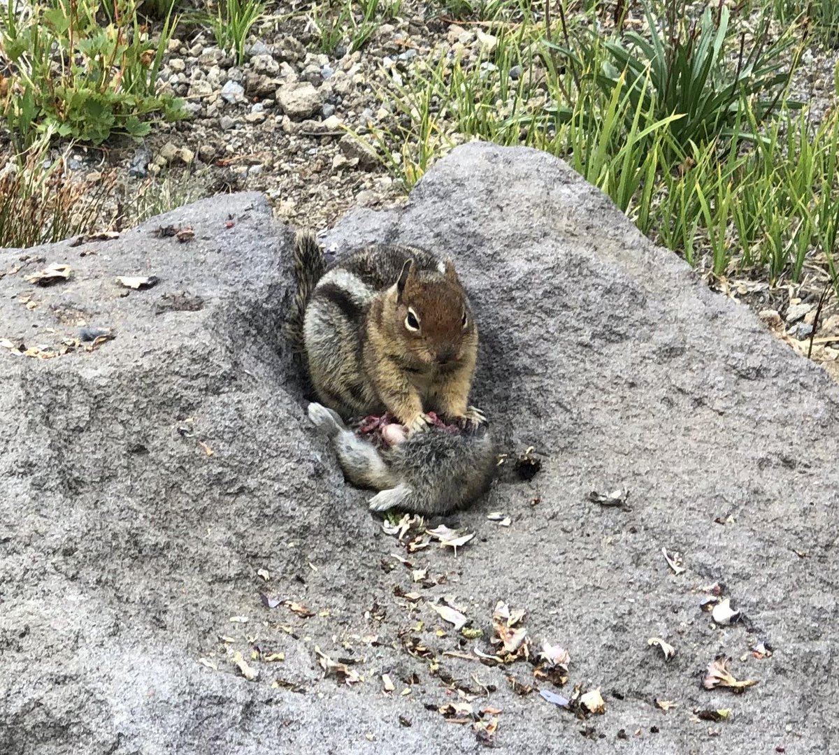 J.T. Alexander tweet media