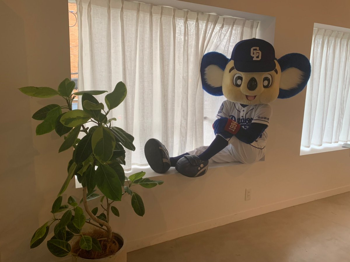 とめきち@基本ﾏﾀｰﾘ tweet media