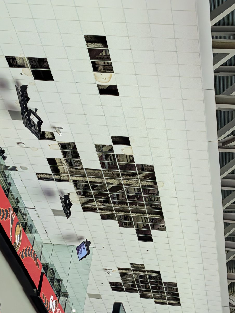 Kevin Lee tweet media