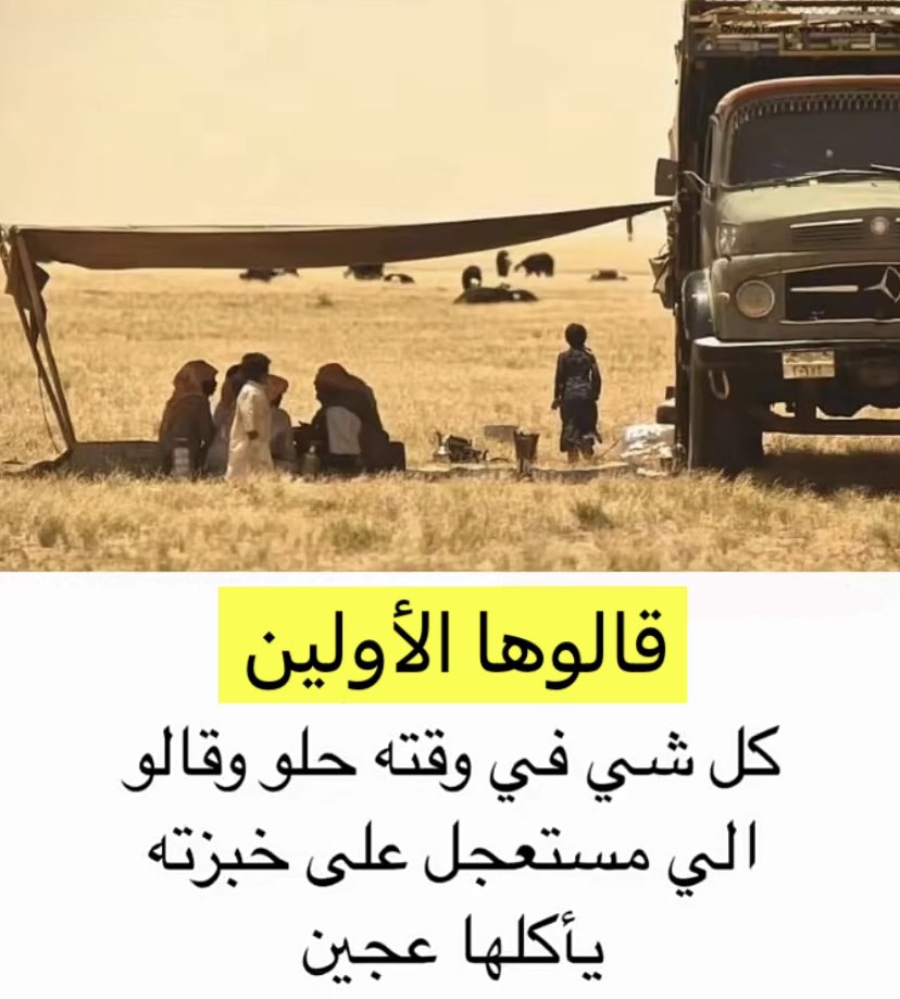 اغنام ___ ( مباشر ) tweet media