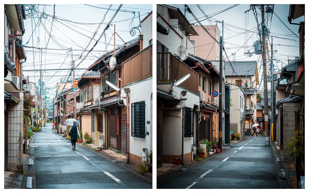 Noah Smith 🐇🇺🇸🇺🇦🇹🇼 tweet media