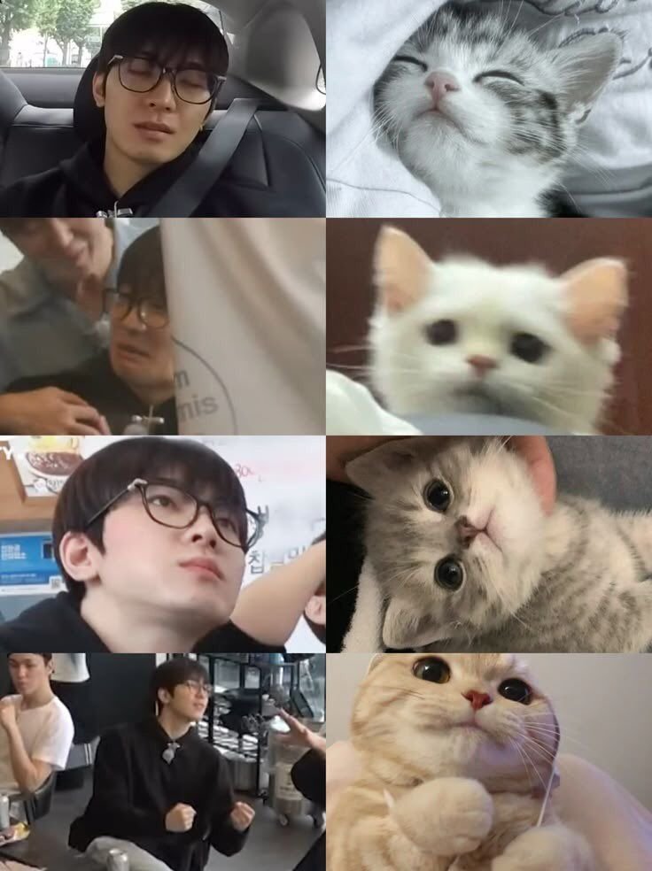 전세구함 tweet media