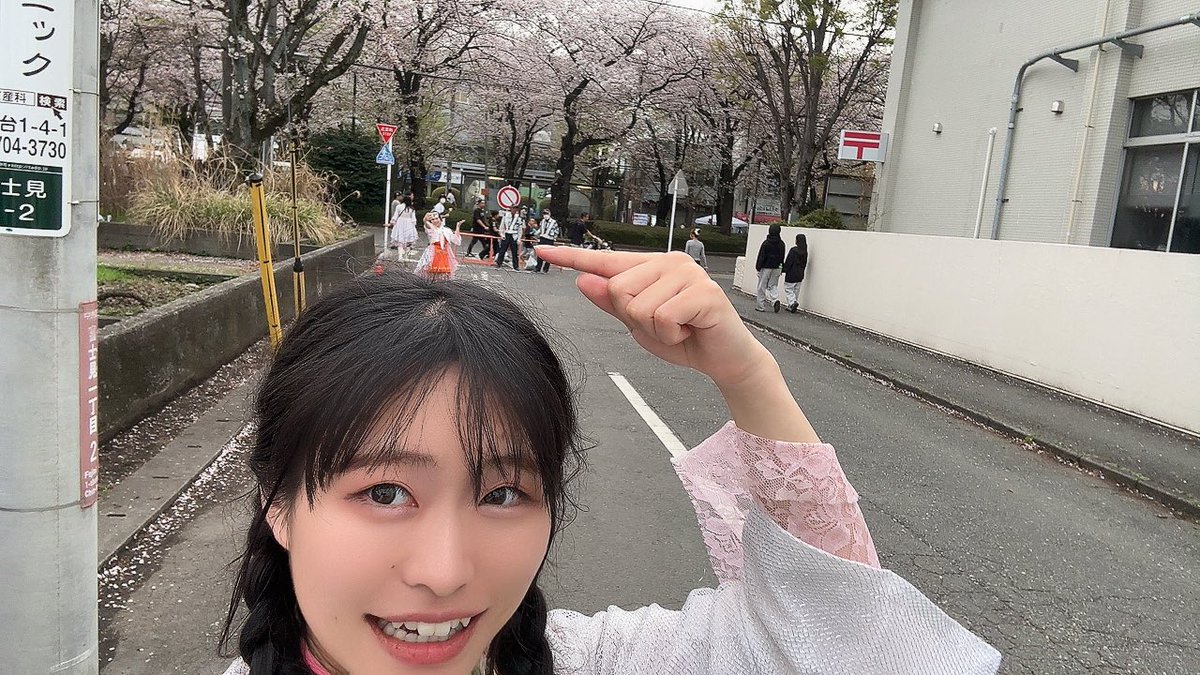 🍀四葉🍀@相模原:next4/4,5桜まつり🌸 tweet media