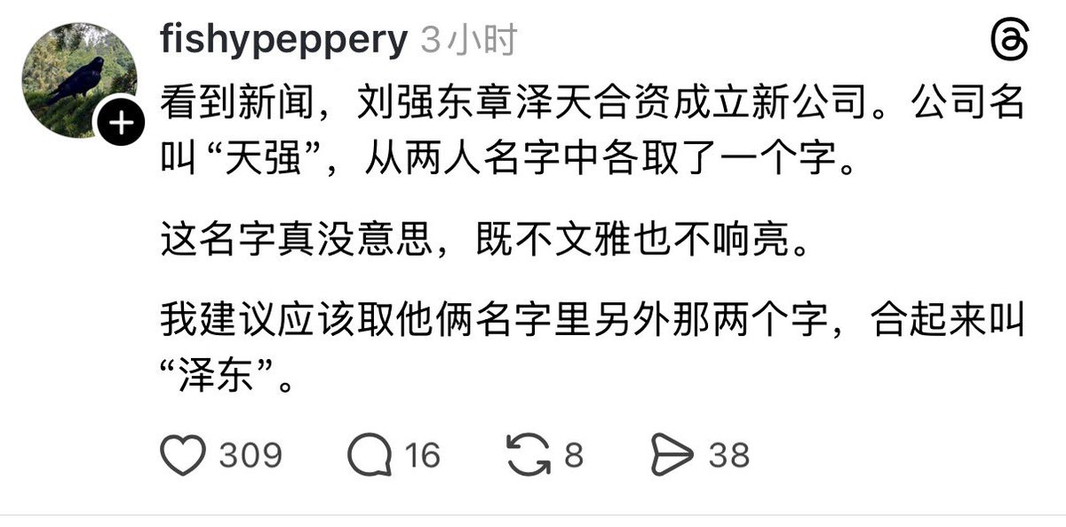 禿道道🐟 tweet media