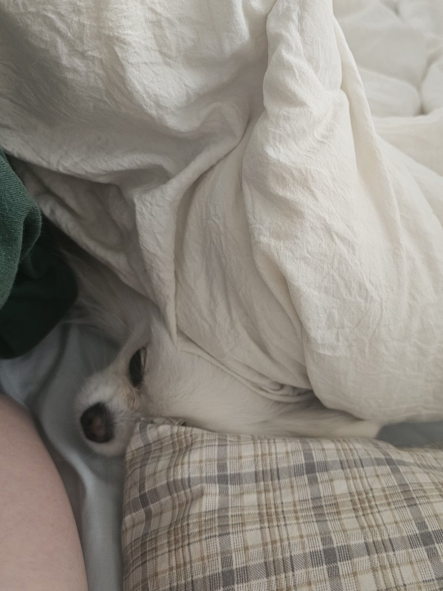 두르강튀아 tweet media