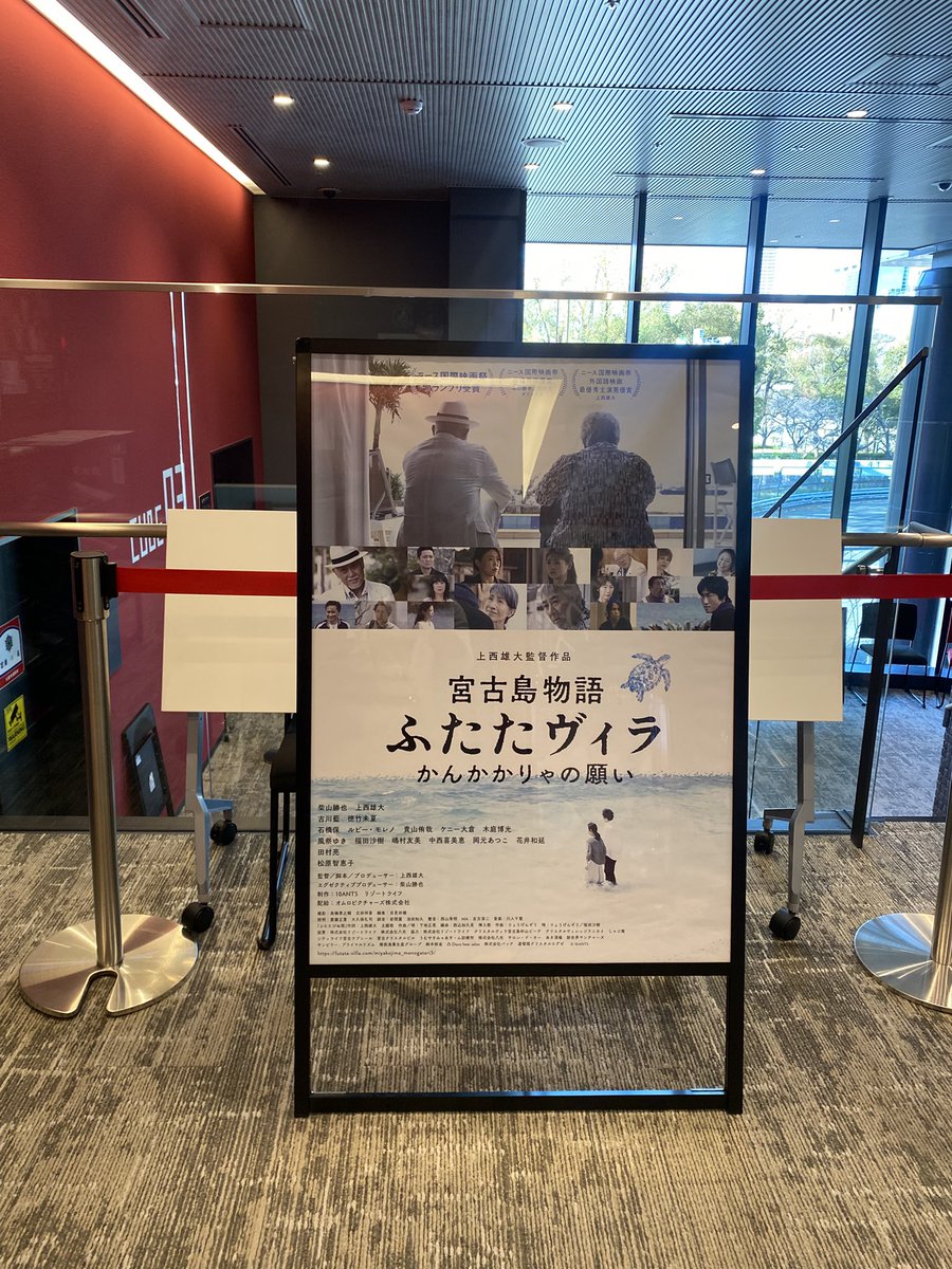 星井 まゆみ tweet media