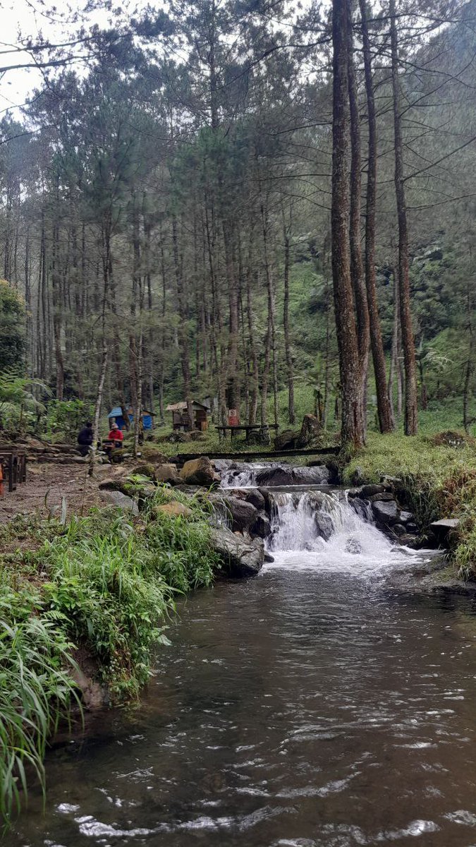 KangRendra's tweet photo. 10 tahun @sraddhasala, saya akan kembali ke gunung, menjadi petapa kembali. Menuju "Wungon Panglocita" https://t.co/j00J0V6Z9A