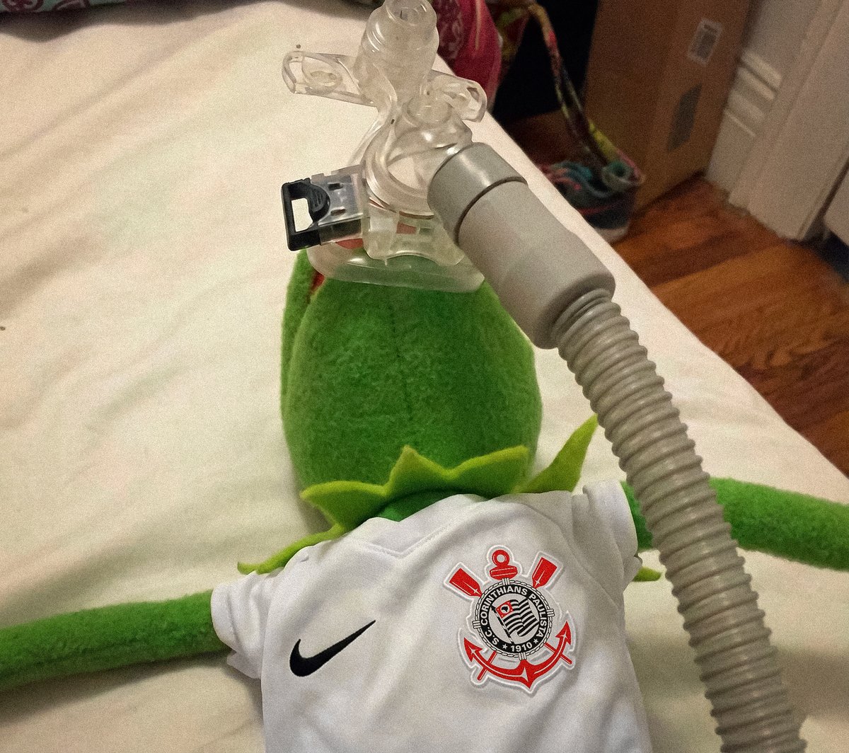 sccpcavalo's tweet photo. Primeira rodada na fase de grupos da Libertadores e eu já estou assim https://t.co/fVuNFWoDHI