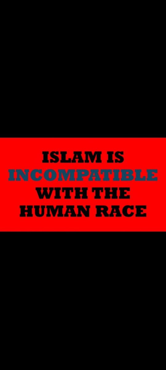 Danielcook1 tweet media