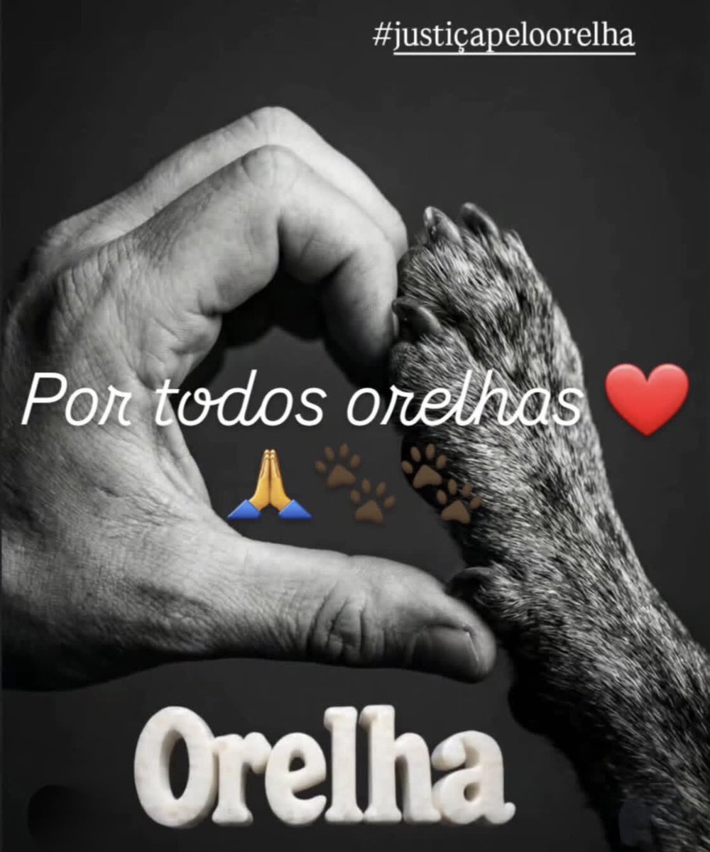 MarcoValverde72's tweet photo. Não vamos soltar a patinha do nosso Orelha. Ele merece justiça, memória e amor eterno. 🐾💔

 #JustiçaPorOrelha https://t.co/NDy87gmJSX