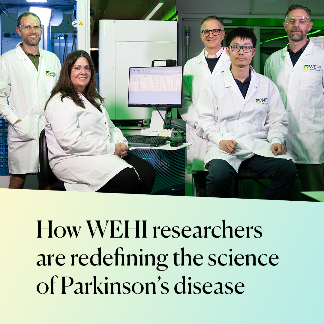 WEHI_research's tweet image. For World Parkinson’s Day, discover how our #Parkinsons Disease Research Centre is redefining the science of #Parkinsondisease why they’re hopeful about the future and how they aim to #stopparkinsons.

wehi.edu.au/news/how-wehi-…