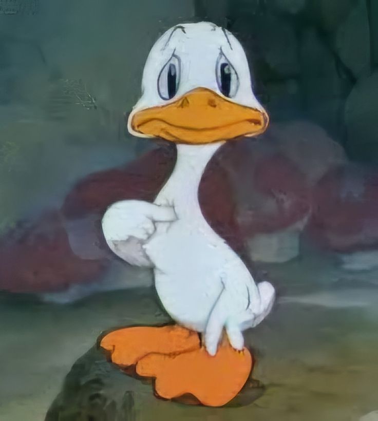 malee lvs Koo 🇦🇷⊙⊝⊜ ʚɞ tweet media