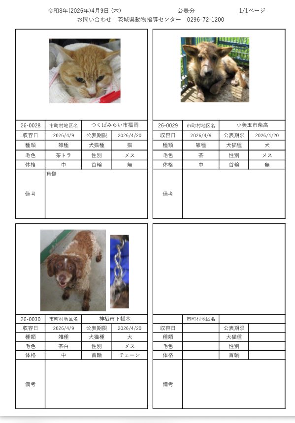 茨城県動物指導センターで保護している、迷子の犬猫の公表情報です。🐕🐈
お心当たりの飼い主様は動物指導センターにお電話ください‼️
動物指導センター
☎︎0296-72-1200(受付時間：平日8:30〜17:15)

4月9日（木）公表情報