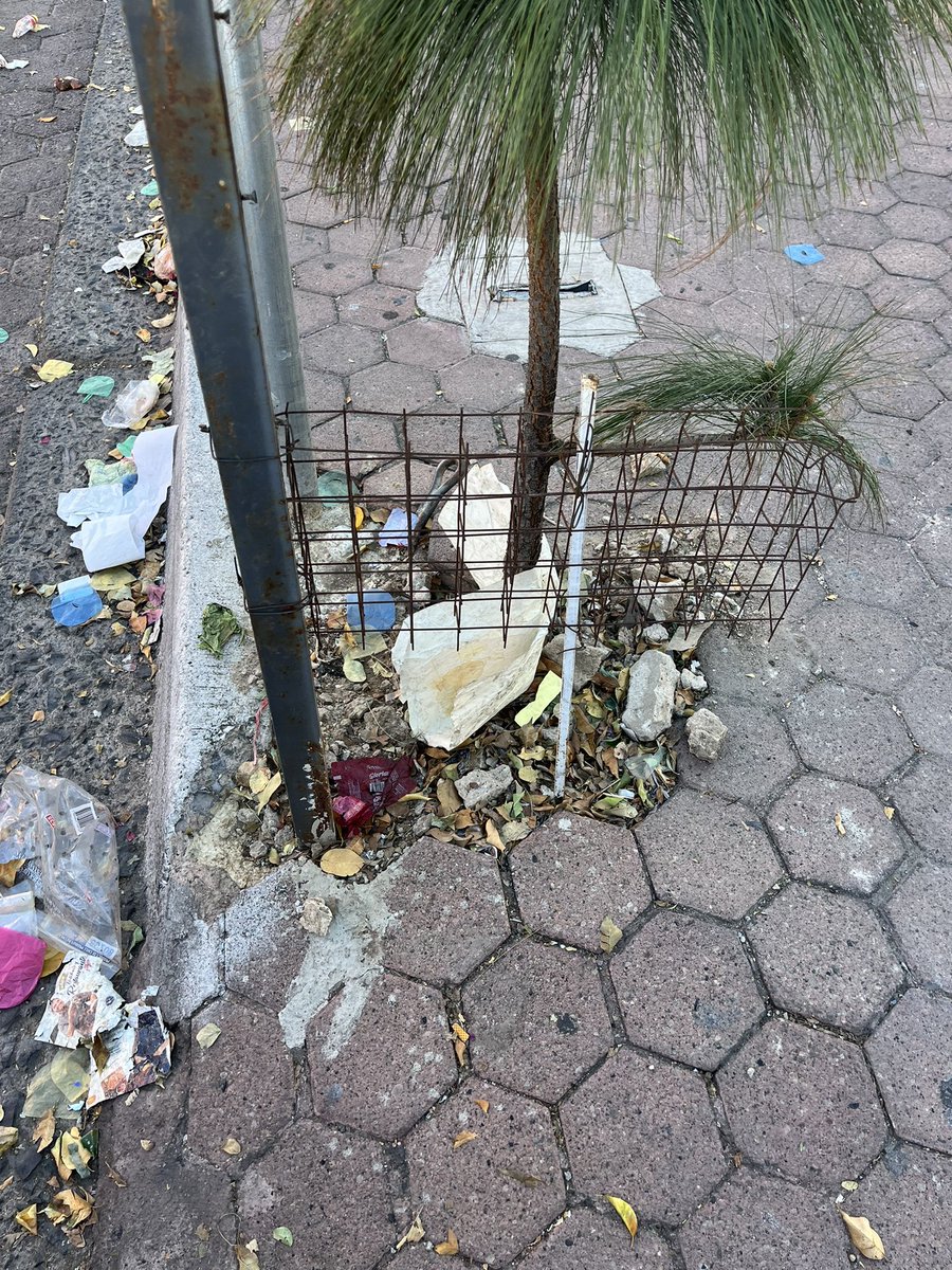 Juan Carlos Mendoza V. tweet media