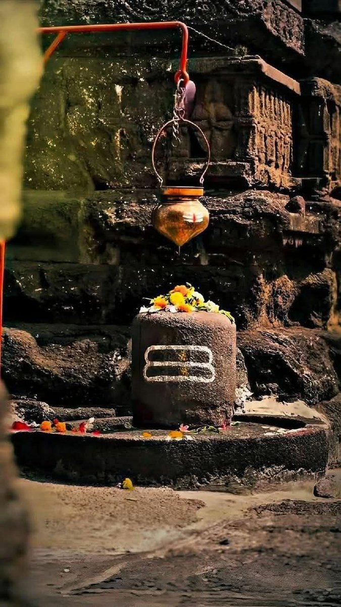 Meeta 🍁 tweet media