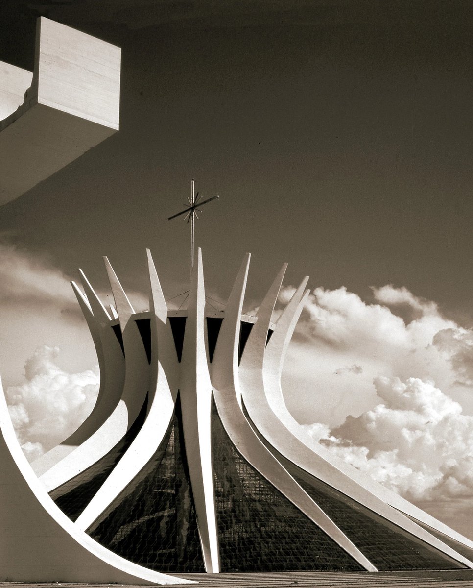 Bauhasaurus tweet media