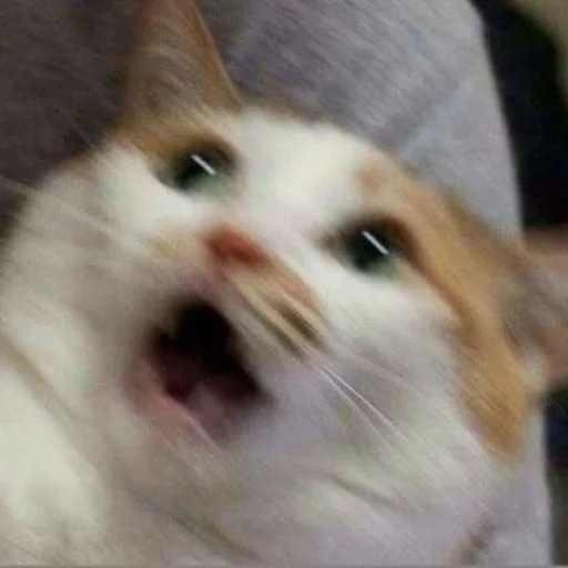 LillieKirisame's tweet photo. Me seeing that I have to complete over than 50 commissions https://t.co/YPsY8X9UTs