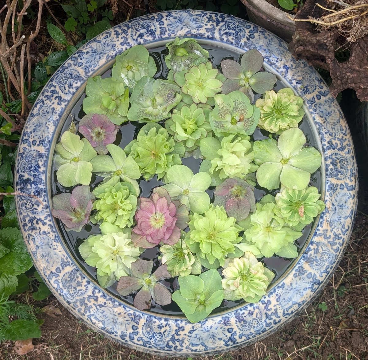 keiko4430🪭👕⚔️ tweet media