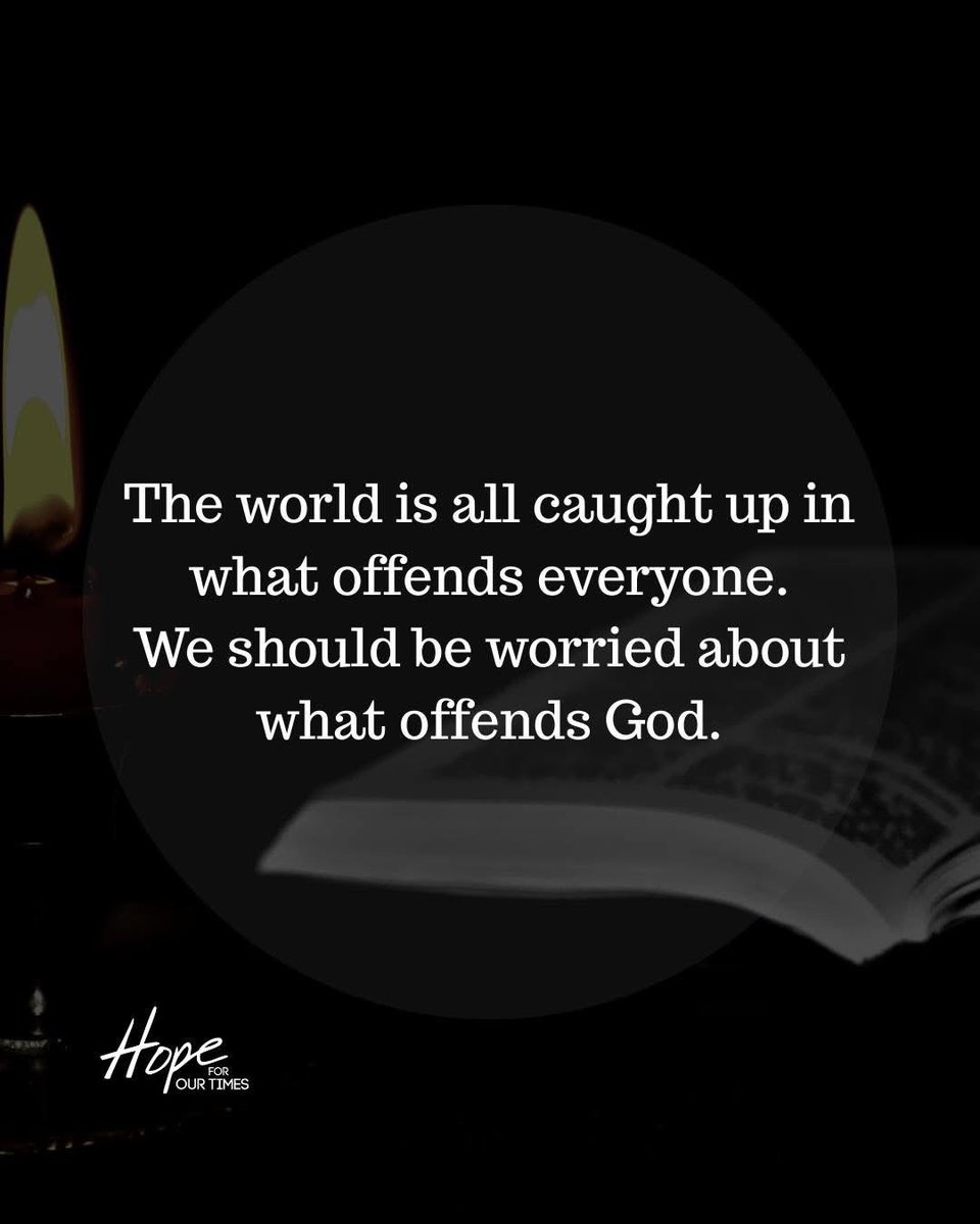 Yvette 🦮 tweet media