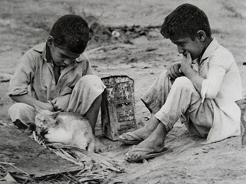 wana_visualss's tweet photo. 🇧🇭 Two boys feed the blind cat.
Bahrain, 1970 

Photo by Isa Yousif Al Watani https://t.co/LzyoY5lRA7