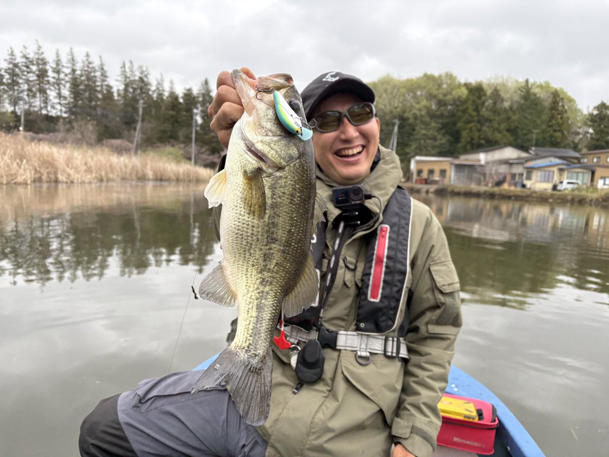 Mr.ノーバイト / 北畠蘭知亜 tweet media