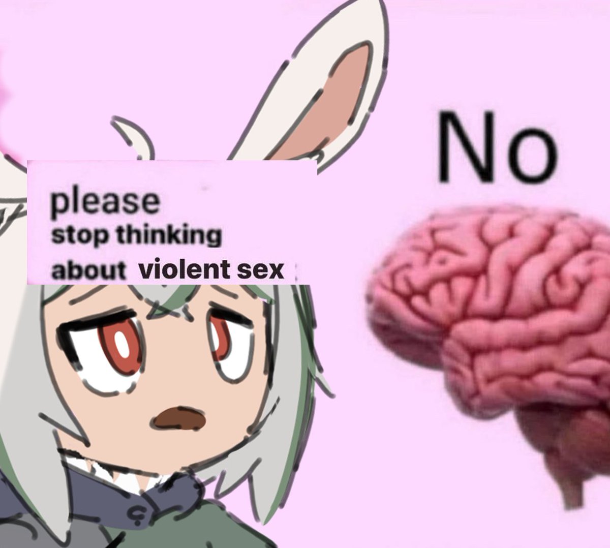 Pyonta 🐇 tweet media