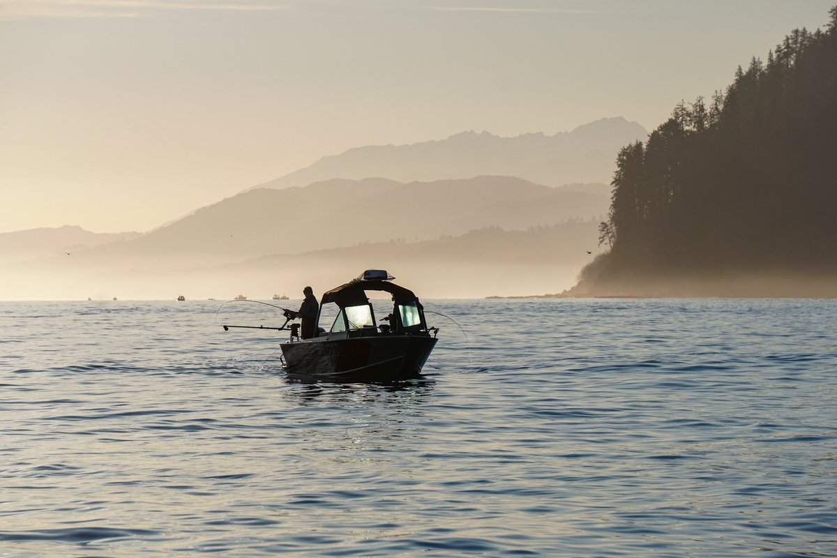 Washington Department of Fish & Wildlife tweet media