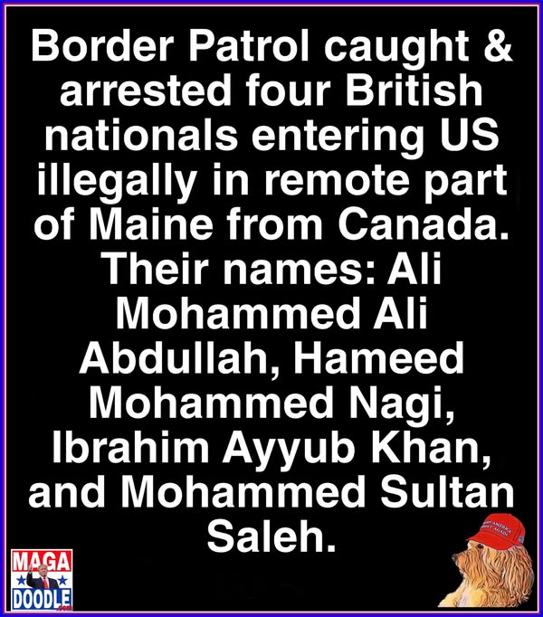 William Hall tweet media