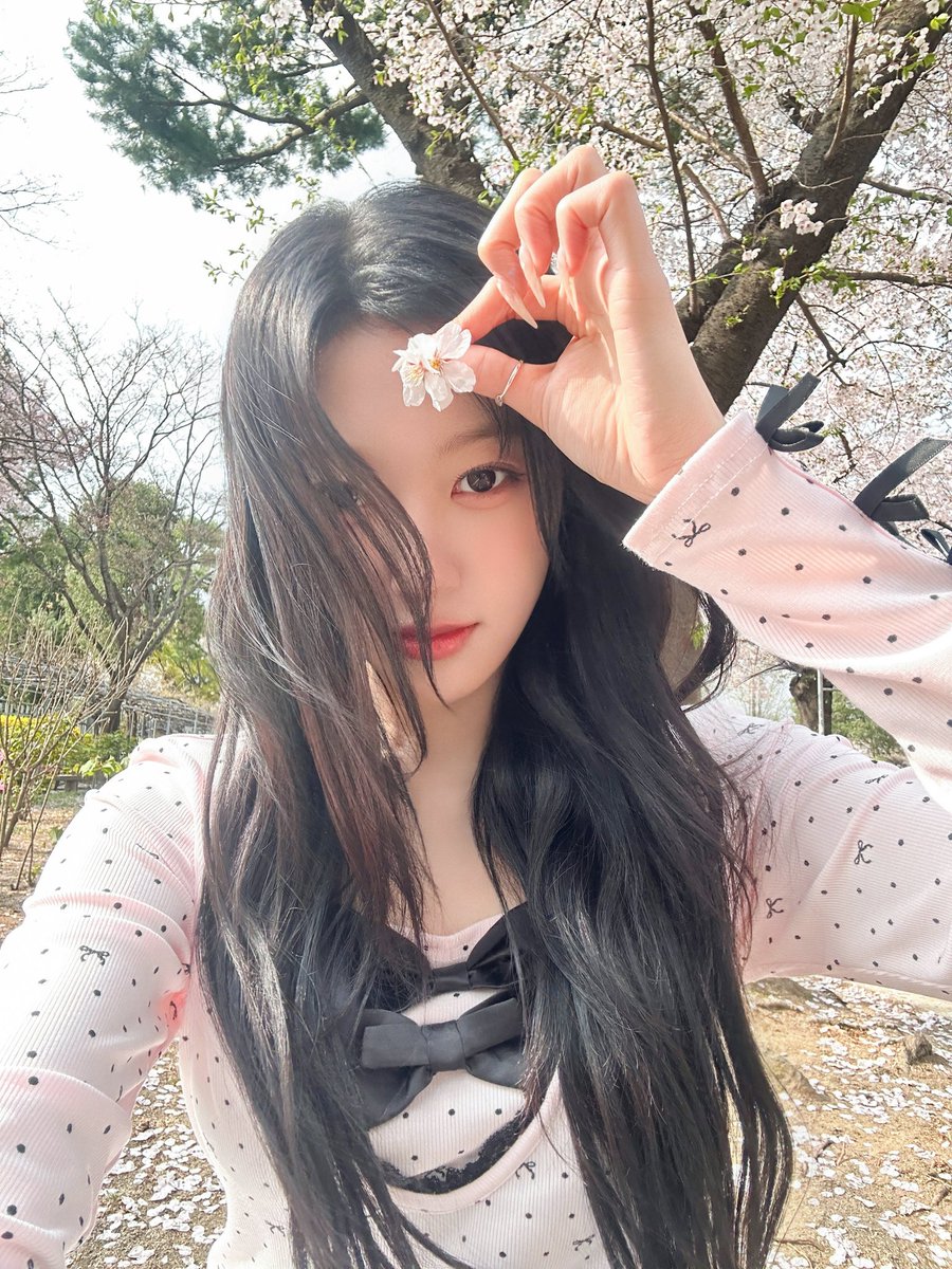 choerry zip tweet media