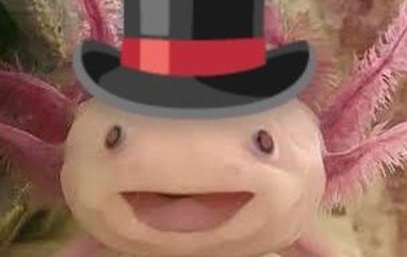 Xolô🍥🫧 tweet media
