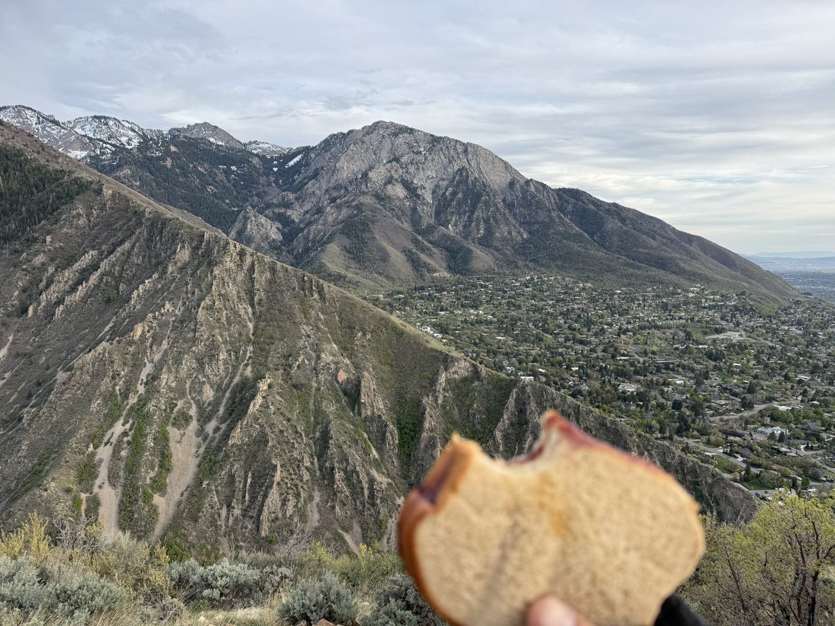 Tony Korologos tweet media