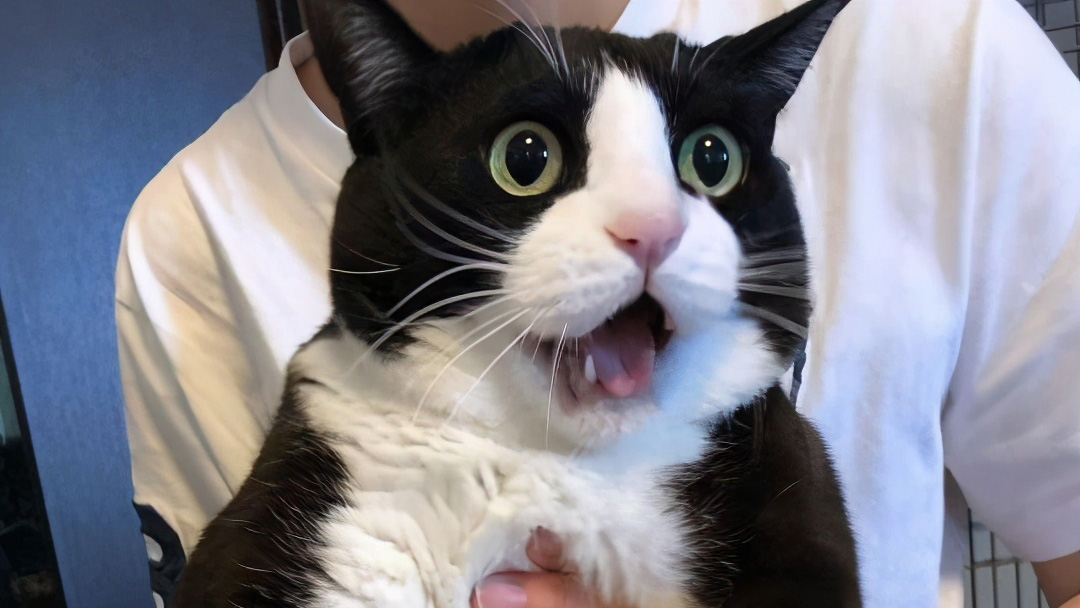 豆山くん tweet media