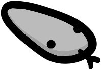 Squirrel tweet media