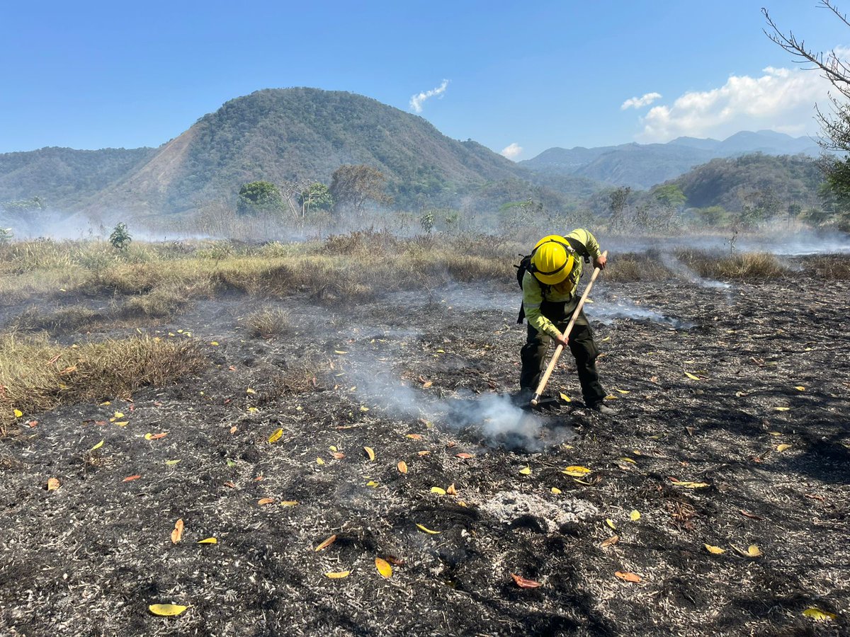 ConredGuatemala's tweet image. #SantaRosa 🔥 Instituciones que integran el Sistema CONRED liquidan al 100% incendio registrado en km 66 RN-16, Cuilapa.
Tras acciones de supresión realizadas por brigadas y comunitarios, el área queda bajo monitoreo.