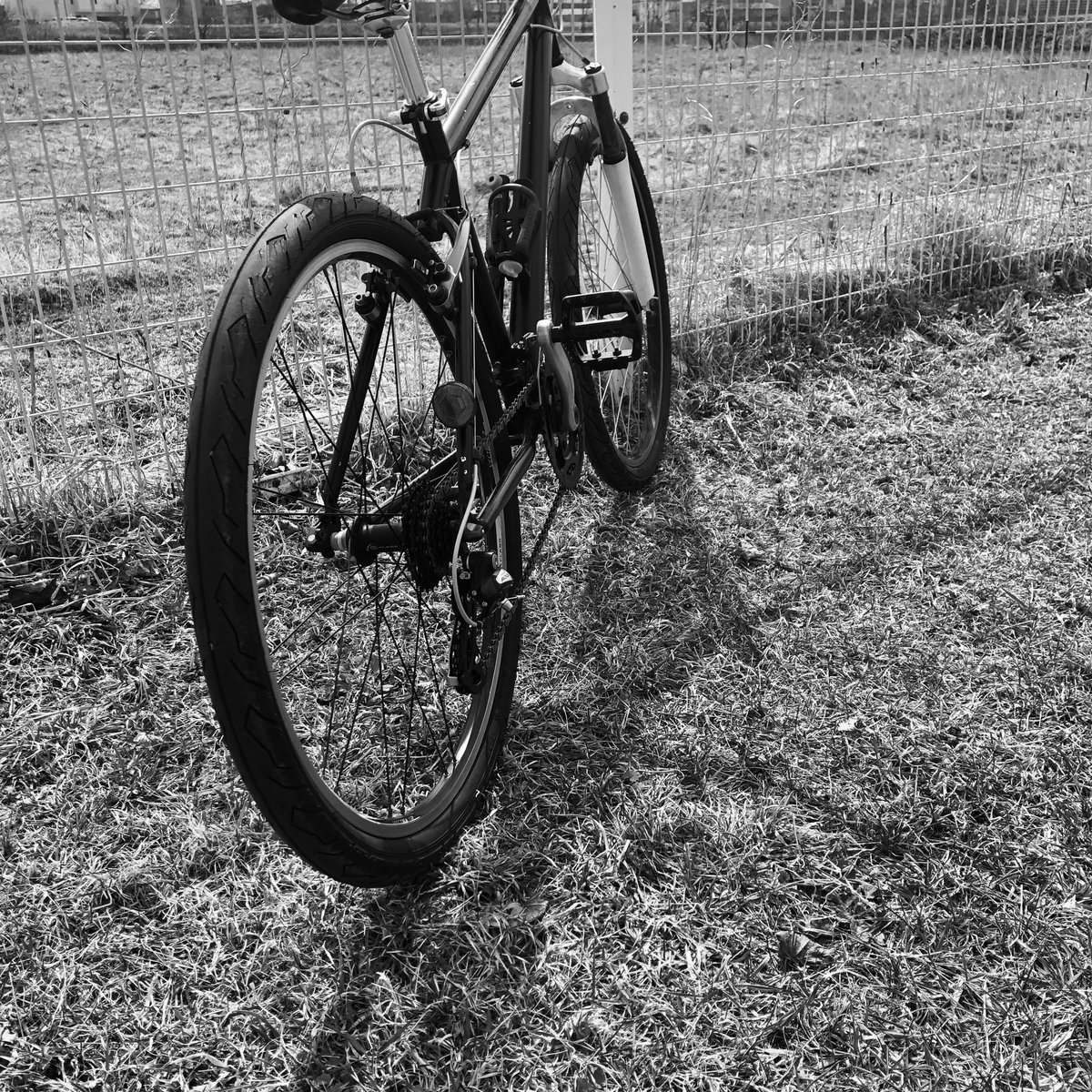 ＲＯＣＫ🇯🇵 tweet media