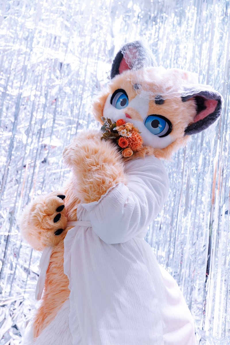 터리조아 tweet media