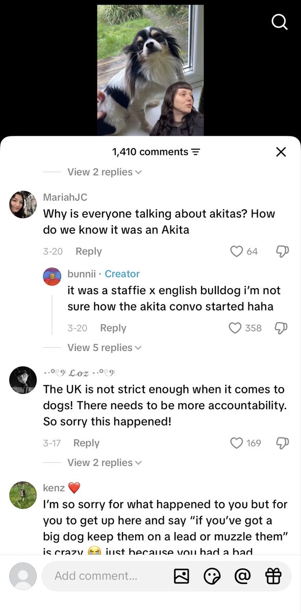 KillerDogWatch's tweet photo. @Halalcoholism @kingrabb_ Funny you mention chihuahua . This lady’s (I believe chihuahua) dog was recently torn to pieces in the uk by a staffordshire bull terrier (staffie). https://t.co/1g5ddd8f4w